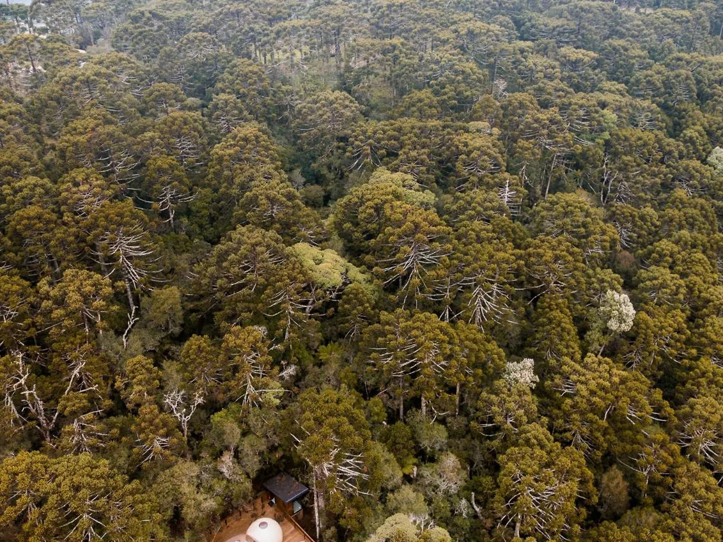Zion Bubble Glamping Hotel Urubici 0*,  Brazil