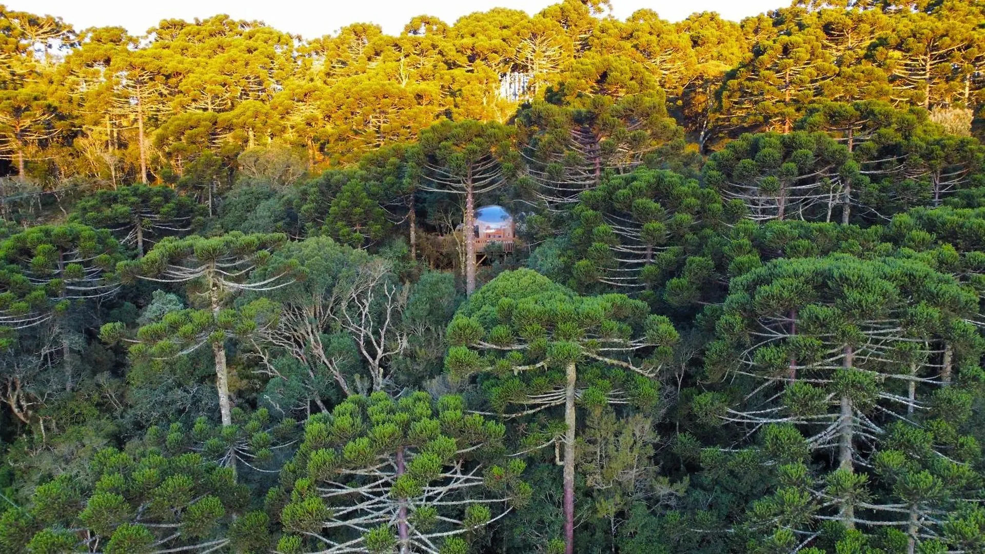 Zion Bubble Glamping Hotel Urubici Brazil