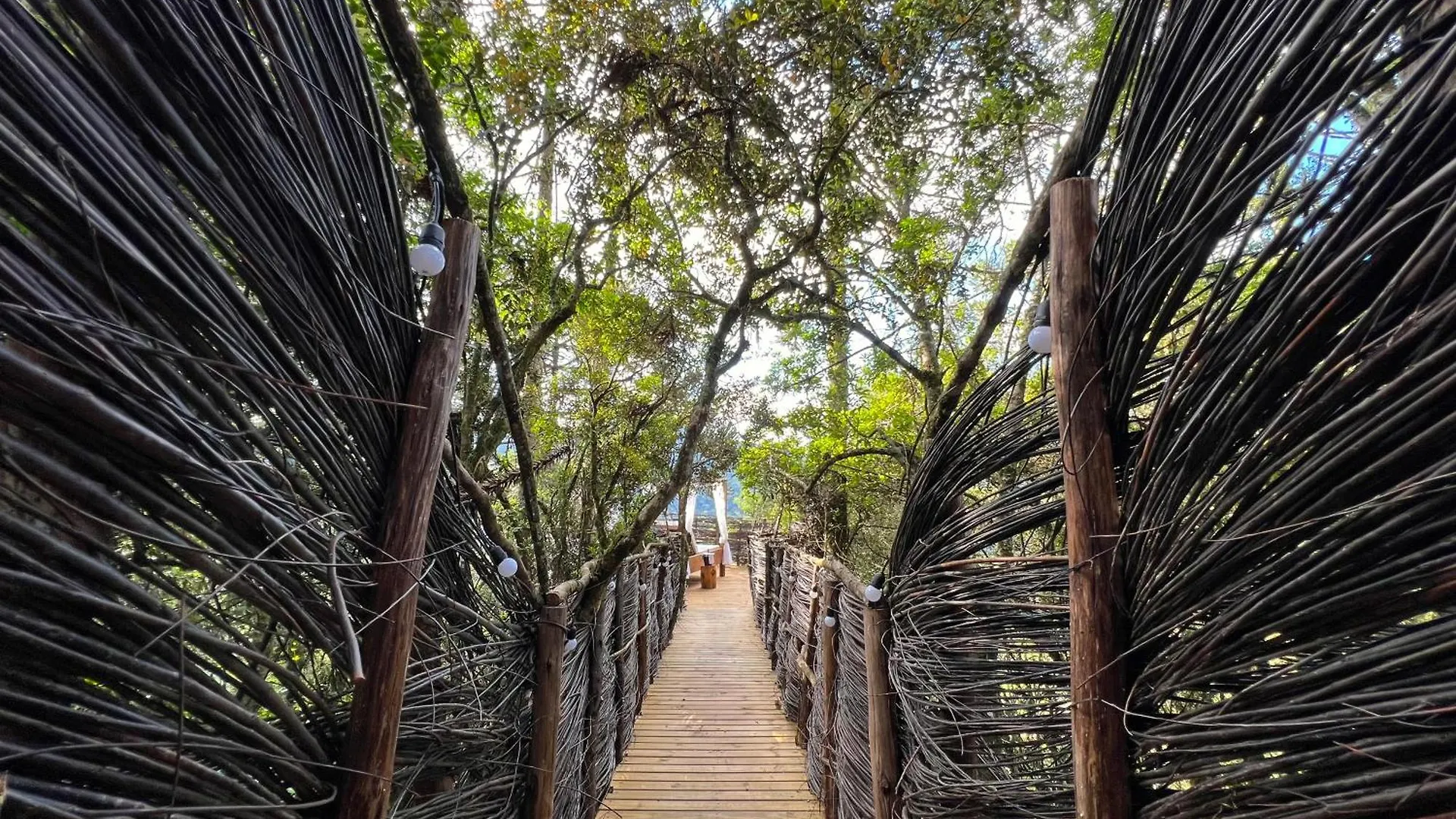 Zion Bubble Glamping Hotel Urubici