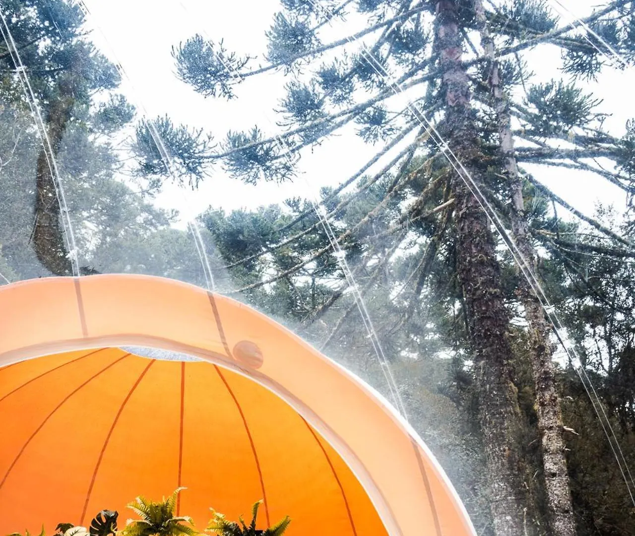 Zion Bubble Glamping Hotel Urubici